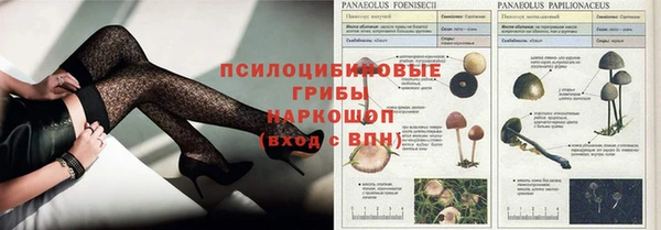 МДПВ Михайловск