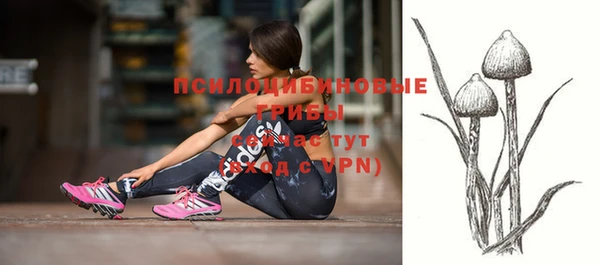 МДПВ Михайловск