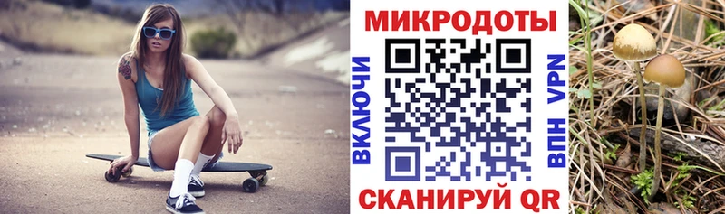Галлюциногенные грибы MAGIC MUSHROOMS где купить наркоту ссылка на мегу как зайти Юрга