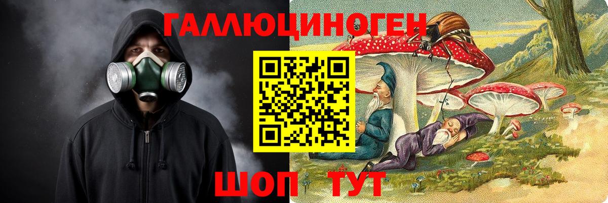 Юрга  Псилоцибиновые грибы Cubensis  Вход с VPN  Галлюциногенные грибы Psilocybine cubensis 